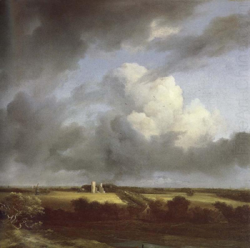 Jacob van Ruisdael View of the Ruins of Huis ter Kleef and Haarlem oil painting picture